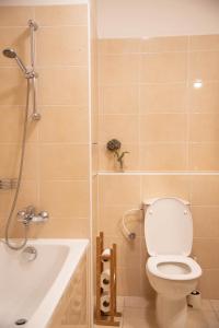 La salle de bains est pourvue de toilettes et d'une baignoire. dans l'établissement Apartment Tereza, à Prague
