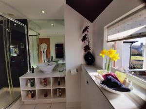 uma casa de banho com um lavatório e um espelho em Oak Lodge B&B em Bude