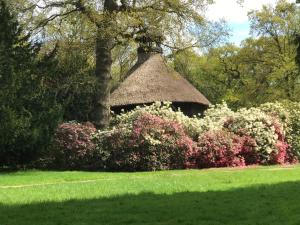 Un cenador con techo de paja y flores rosas. en Feriendomizil Dornum Haus Willy mit Wintergarten und Wallbox, en Dornum