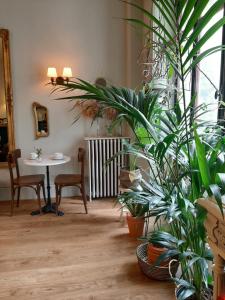 a room with a table and some plants in it at Saint Charles Hôtel & Coliving Biarritz in Biarritz