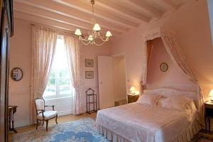 a bedroom with a bed and a chandelier at Château de Nazé Vivy-Saumur in Vivy +58 photos