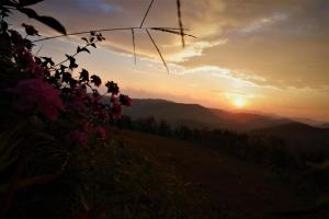 a sunset in the mountains with flowers in the foreground at Peakaavu Cottages in Idukki