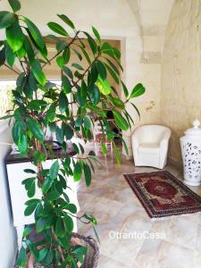 a living room with a plant and a chair at OtrantoCasa in Otranto