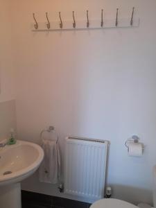 a bathroom with a sink and a toilet and a radiator at Crow's Nest in Somerford Keynes