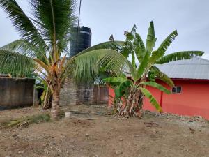 two palm trees in front of a red building at Mkoani Guest House in Mkoani