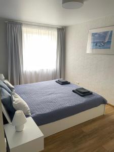a bedroom with a large bed with a window at IGNALINOS APARTAMENTAI in Ignalina