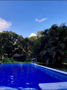 a blue swimming pool with trees in the background at TierraViva in Tobia