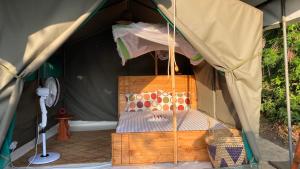 Gallery image of Selous Mapumziko Lodge in Selous Game Reserve +15 photos