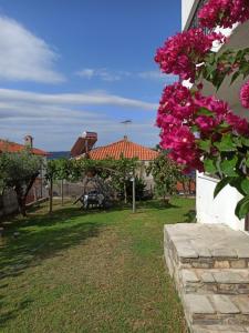 Vonkajšia záhrada v ubytovaní Dora's House comfortable apartment with a yard and view