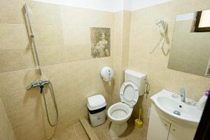 Ванна кімната в Casa Domneasca Riana