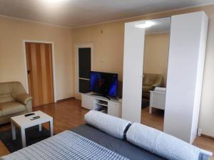ein Wohnzimmer mit einem Sofa und einem TV in der Unterkunft Kölcsey Apartman in Szekszárd