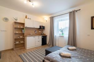 A cozinha ou kitchenette de Frajárka