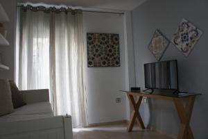 a living room with a couch and a television at APN Rio Darro in Granada