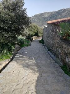 um caminho de pedra ao lado de uma parede de pedra em Clos Olivella em Monticello