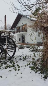 a house in the snow with a wheel in front of it at Moj salaš in Novi Sad