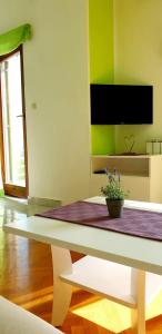 TV a/nebo společenská místnost v ubytování IstraNova Apartments