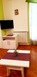 TV a/nebo společenská místnost v ubytování IstraNova Apartments