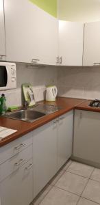 Kuchyň nebo kuchyňský kout v ubytování IstraNova Apartments