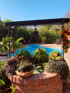 a garden with a brick wall and a swimming pool at Hostal La Casa de Felipe in Taganga