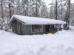 Holiday Cabin Kerimaa 121 взимку