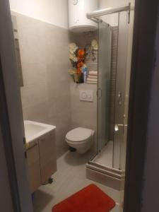 a bathroom with a toilet and a glass shower at D & G in Split