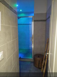 una ducha con puerta de cristal en un baño en COULEURS DES ILES , Fréjus-plage, en Fréjus