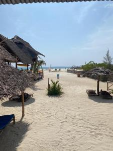a sandy beach with straw umbrellas and the ocean at Ndiro Beach House Kendwa in Kendwa