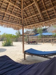 Gallery image of Ndiro Beach House Kendwa in Kendwa