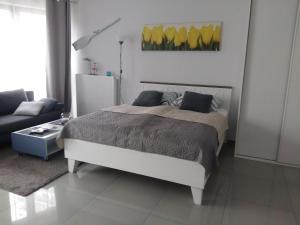 1 dormitorio con 1 cama grande y 1 sofá en Gracja Horyzont-apartament z parkingiem, en Międzyzdroje