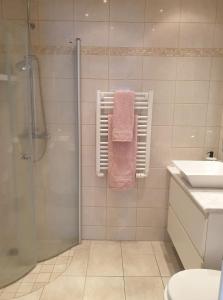 a bathroom with a shower and a pink towel at Íbúð með gott andrúmsloft in Akureyri