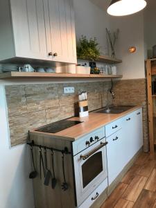 Kuchyň nebo kuchyňský kout v ubytování Apartmán Orlické Záhoří