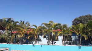 a group of palm trees next to a swimming pool at Pousada Cantinho D´Lilica in Balneário Praia do Leste