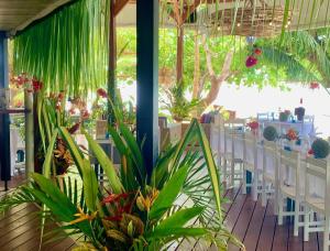 Zahrada ubytování Turtle Bay Lodge