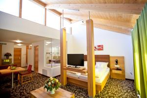 TV a/nebo společenská místnost v ubytování Hotel und Appartementhof Waldeck