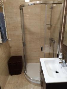 y baño con ducha y lavamanos. en Apartament MAZURIA2, en Ełk