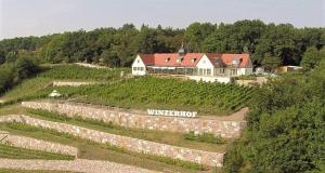 ein Haus auf einem Hügel mit einem Weinberg in der Unterkunft Pension Bella Vista - Winzerhof Golk in Meißen