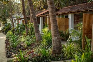 A garden outside Casa Jaali