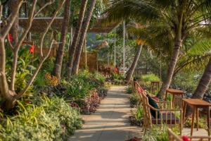 A garden outside Casa Jaali