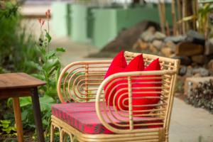 A garden outside Casa Jaali