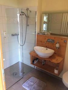 マイセンにあるPension Bella Vista - Winzerhof Golkのバスルーム(洗面台、ガラス張りのシャワー付)