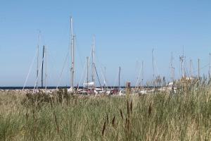 un grupo de veleros están atracados en un puerto en Ferienwohnungen Kleckerburg mit Me, en Kägsdorf