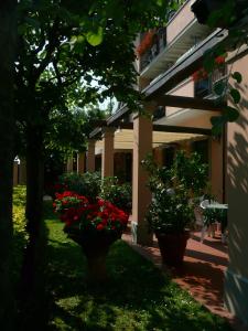 Zahrada ubytování Hotel Astor Victoria