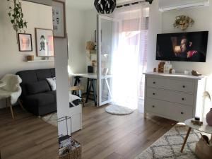 Televízia a/alebo spoločenská miestnosť v ubytovaní SC design Home Apartman