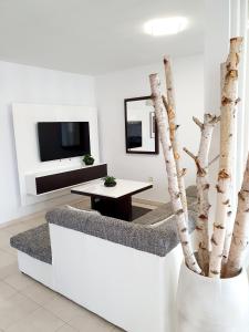 a living room with a couch and a table and a tv at Apartment Bonaca in Portorož +13 photos