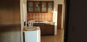 Kuchyňa alebo kuchynka v ubytovaní Apartments Stojanović