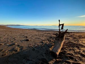a piece of wood sitting on the beach at Hotel Massimo in Marina di Cecina