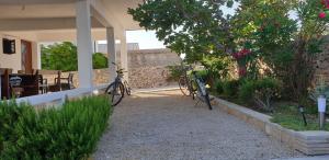 Jazda na bicykli v okolí ubytovania Apartments Stojanović