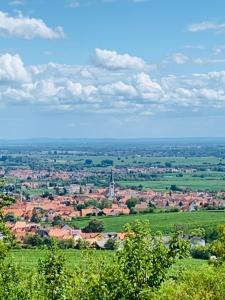 Příroda nedaleko apartmánu