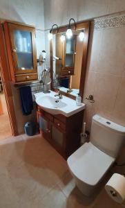 ein Badezimmer mit einem WC, einem Waschbecken und einem Spiegel in der Unterkunft Apartament Mia in Deltebre