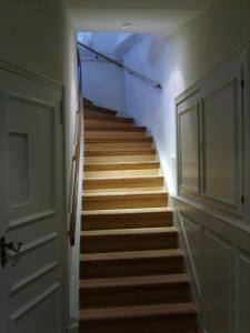 海德堡的住宿－施努克羅什酒店，蓝色天花板房子的楼梯